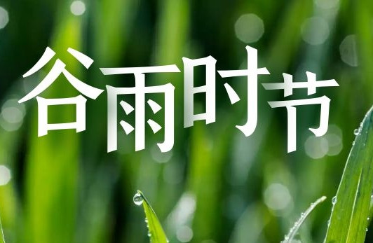 飛雁電纜丨春夏之交，雨生百谷~